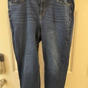 Talbots Classic Blue Women's Jeans Jeggings